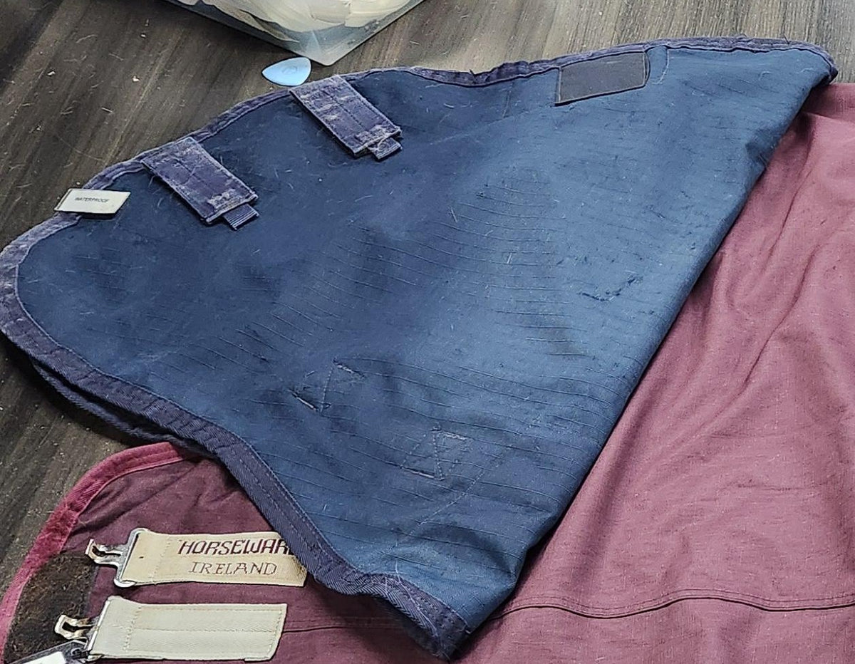 Blue hood medium